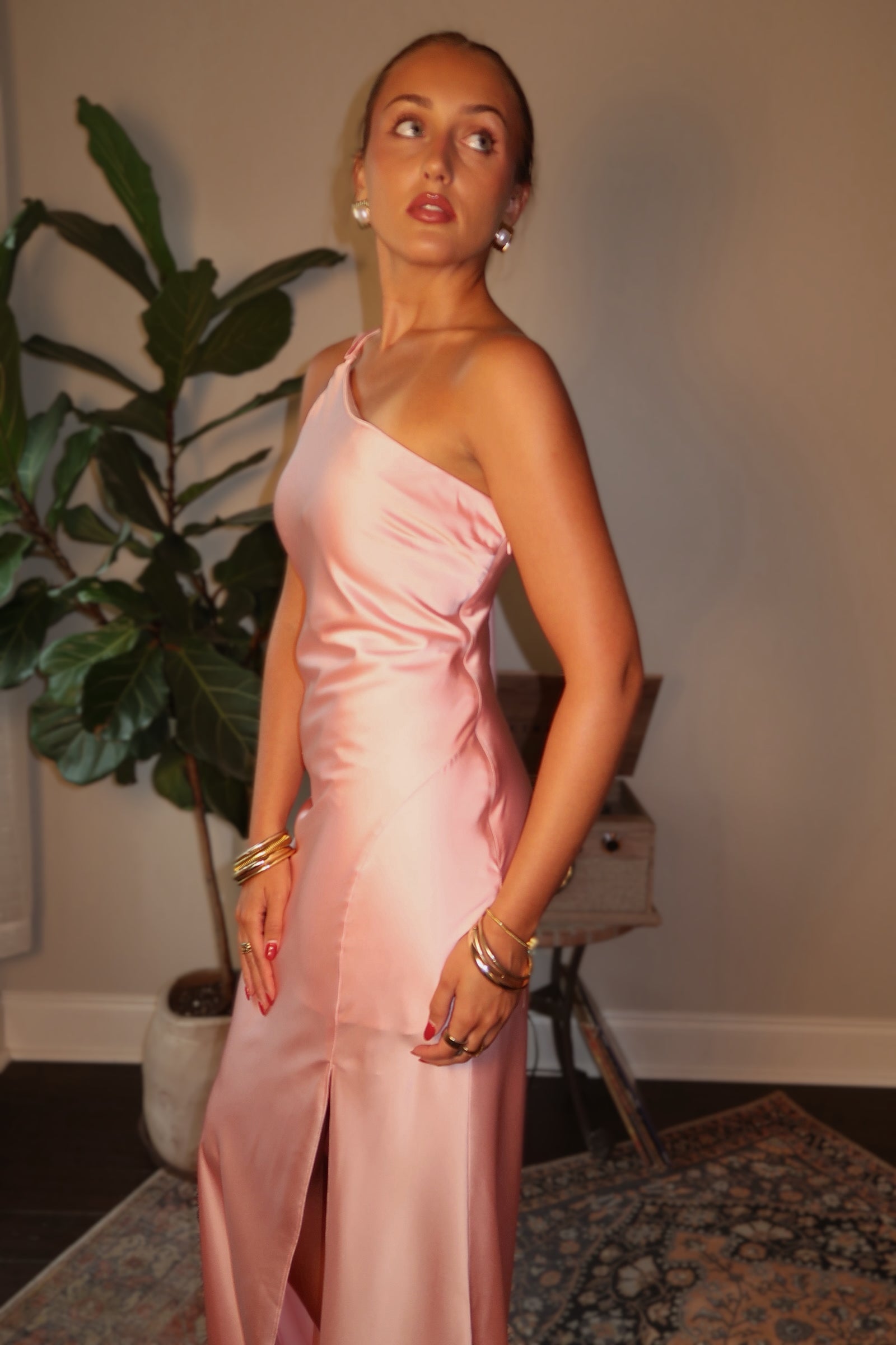 The Pink Poise Dress