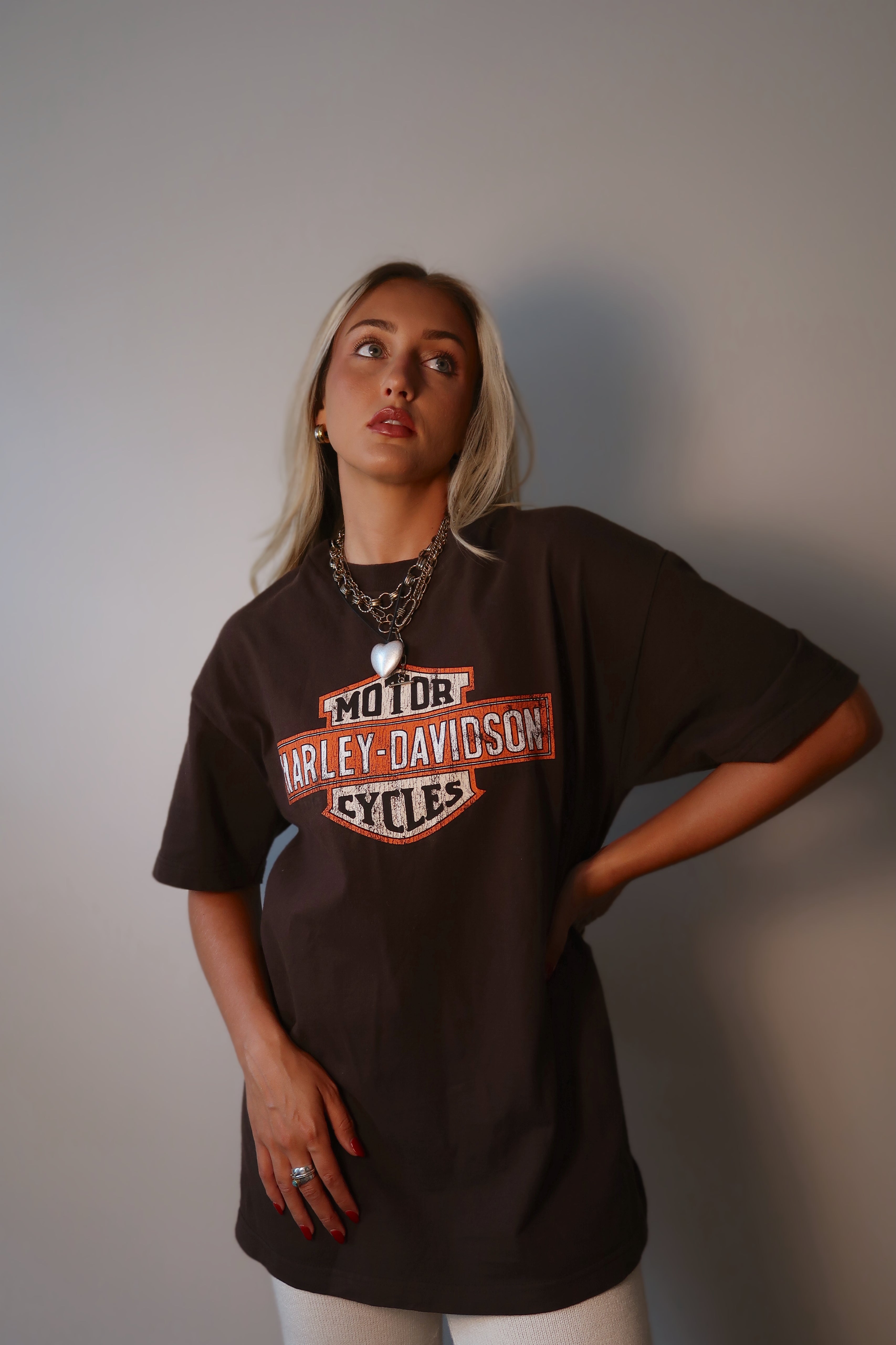 Vintage Brown Harley Davidson Tee