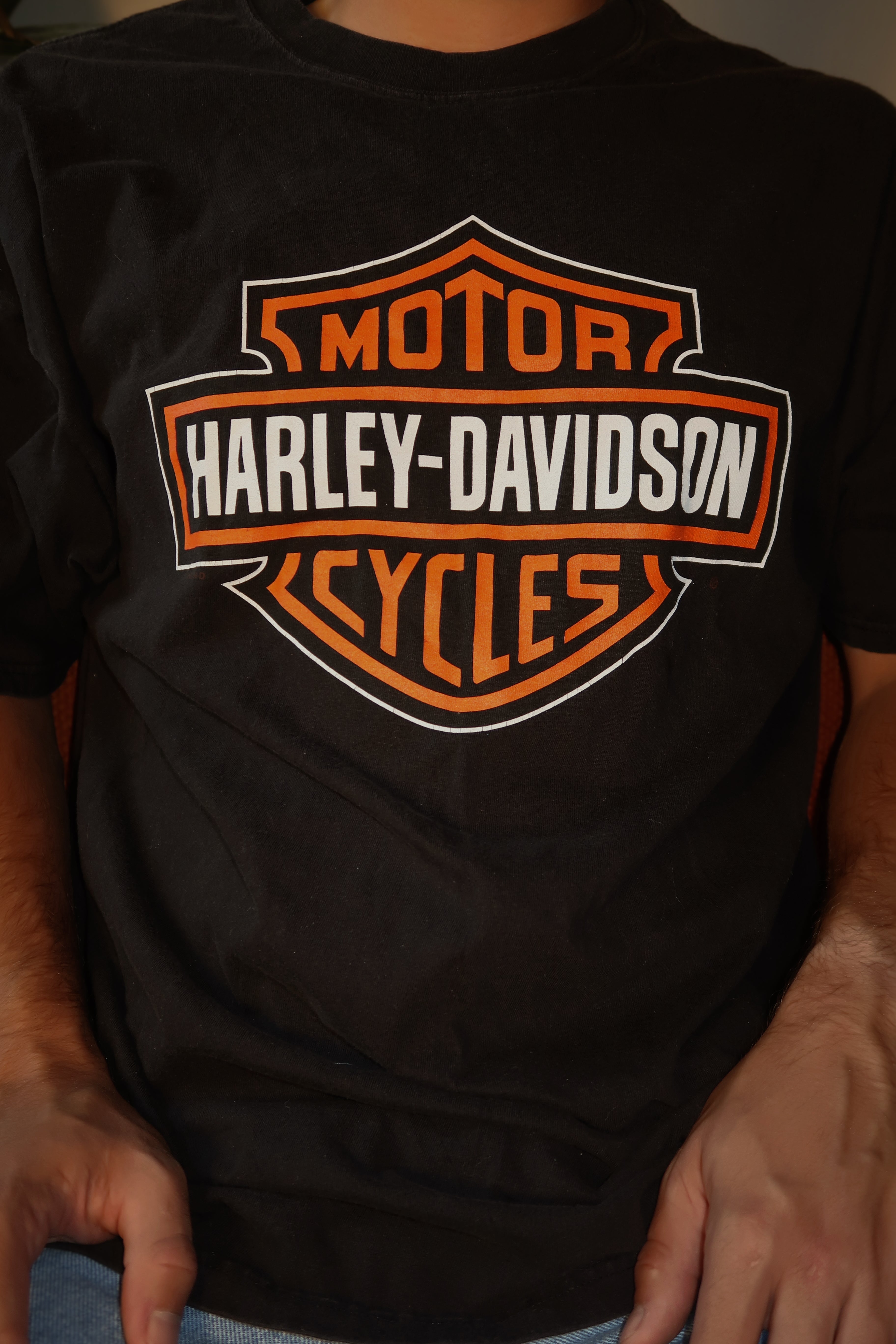 Vintage Harley Davidson Graphic Tee