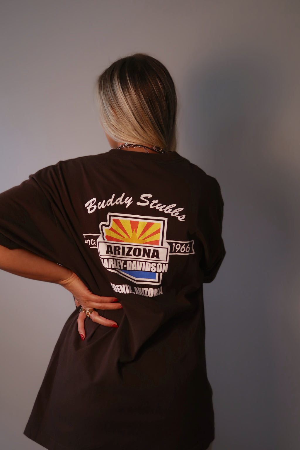 Vintage Brown Harley Davidson Tee